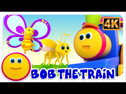 Bug Bug Canzone | Educational Video Per Bambini In Italiano - Bobthetrain