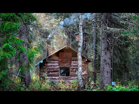 ЖИЗНЬ В ТАЁЖНОЙ ИЗБЕ. ОХОТА. НЕЛЬЗЯ СТРЕЛЯТЬ! СДЕЛАЛ МАНОК И ДОБЫЛ МЯСО.