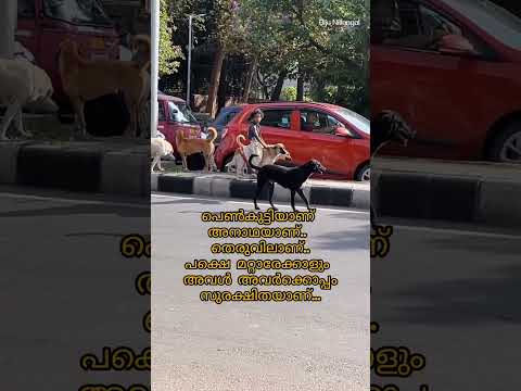എന്താ സ്നേഹം