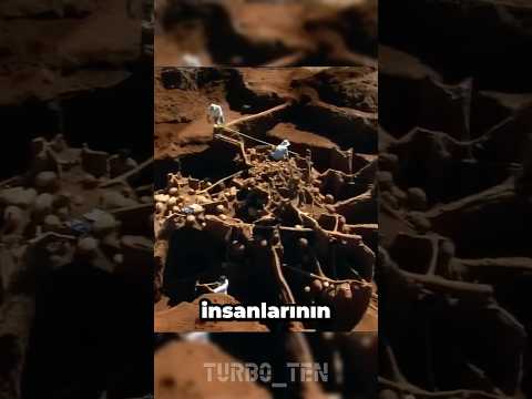 Karınca Yuvasına 10 Ton Çimento Döktüler!