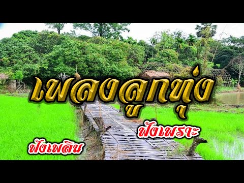 เพลงลูกทุ่ง ฟังเพราะ ฟังเพลิน
