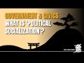 Political Socialization and Influences