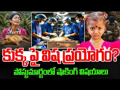 Tuni Gnaneshwari Missing Mystery | Dog Post-Mortem Report | Kakinada Jahnavi Incident | SumanTV Sai