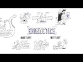 Nature vs. Nurture Influences on Behavior