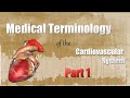 Medical Terminology and Conditions