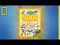 Fun Facts and Trivia Questions