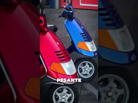 Il Re dei Vasconi 👑😂❤️🔥