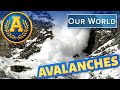Avalanche Awareness and Dynamics
