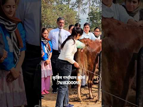 Artificial insemination institute #newsong #punjabi #motivation  #newreels
