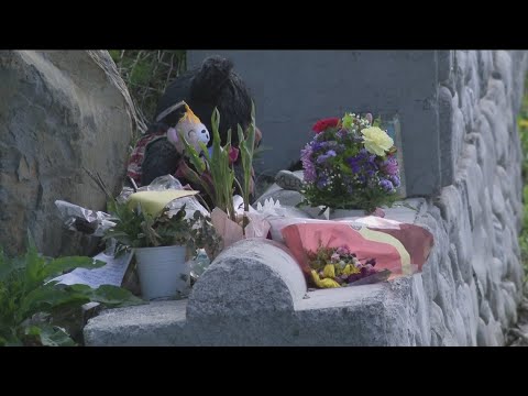YouTube video thumbnail: Court Blocks Release of Idaho Student Murder Scene Photos Over Privacy Concerns