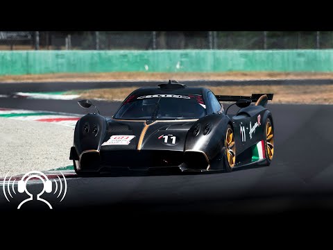 [ASMR Binaural Audio] Relaxing Sounds of Monza in Summer: Singing Cicadas feat. Huayra & Zonda Rs!
