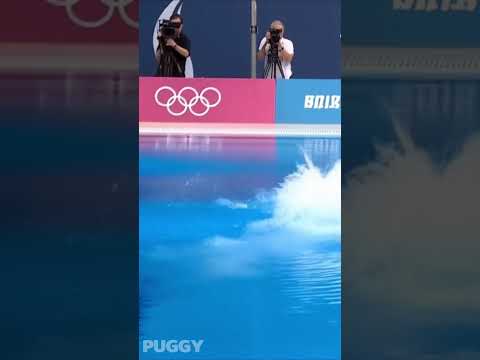 Diving finals in the Puppy Olympics #puggy #pug#ai #puggy