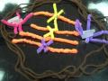 Cell Division and Chromosome Behavior