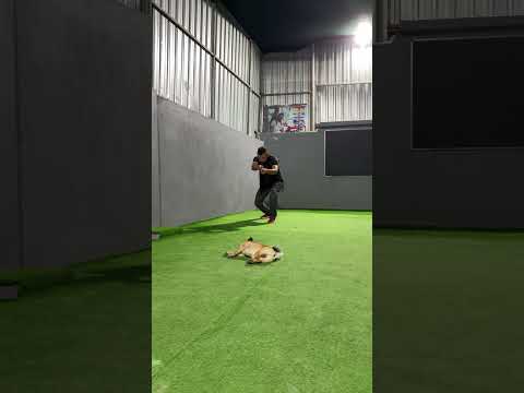 Ateşi Tanımayan Olmayacak 😂