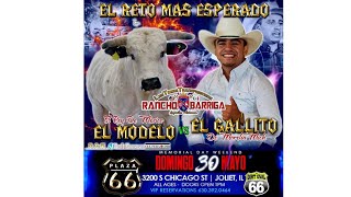 "𝐄𝐋 𝐑𝐄𝐓𝐎 𝐌𝐀𝐒 𝐄𝐒𝐏𝐄𝐑𝐀𝐃𝐎" EN RIESGO LA VIDA DE!! EL GALLITO DE MORELIA vs El MODELO| Rancho Barriga🇲🇽🇺🇸