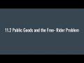 Public Goods and Government Policies