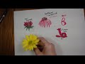Plant Identification and Characteristics
