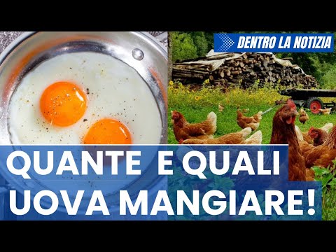 Uova: fonte proteica economica completa biodisponibile digeribile Ottime per massa muscolare RICETTE