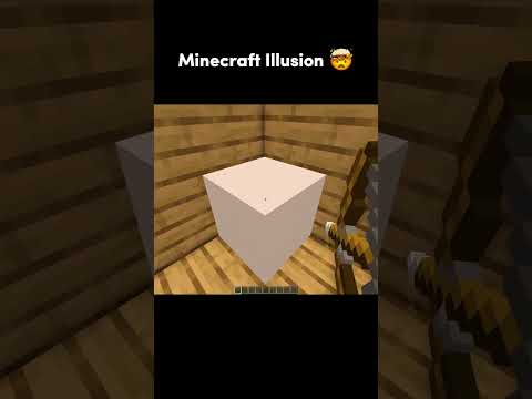 Minecraft OP Illusion 🤯 #shorts #minecraft
