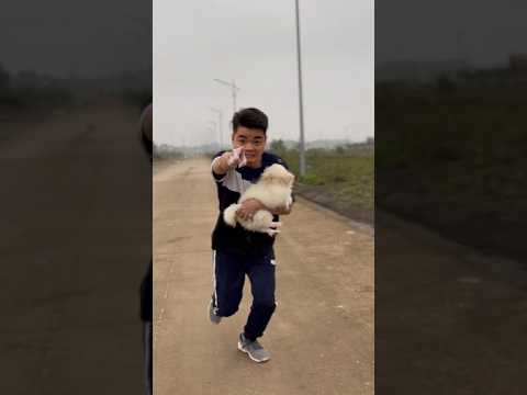 you hurt my dog 😡 #dog #lovedog #dogvideo #trendingshorts