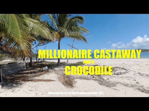 Millionaire Castaway and a Crocodile