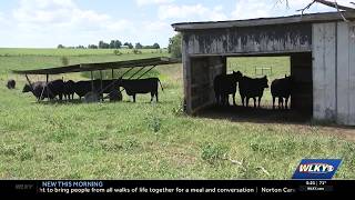 YouTube video thumbnail: Feed Louisville Partners With The Berry Center to Provide Quality Food to Louisville Communities