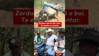 #pecuarista #agro #fazenda #gado #ranchozordan