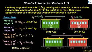 Class 11th | Punjab Board (2025-26) | Chapter 2 | Numerical Problem: 2.11
