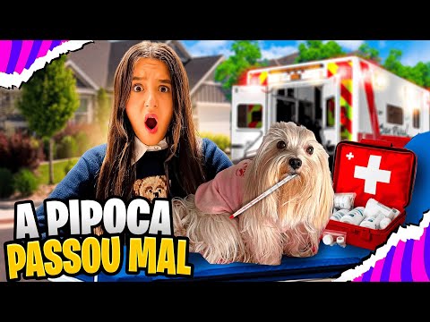 MINHA CACHORRA FOI PRO HOSPITAL !!! ELA ESTÁ COM FEBRE !