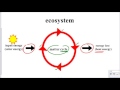 Energy and Matter in the Biosphere