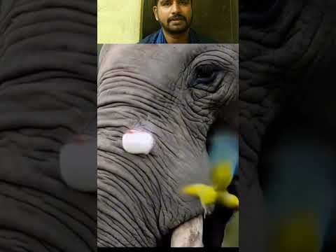 நோய்களை குணப்படுத்தக் கூடியவன் அல்லாஹ் ஒருவனே