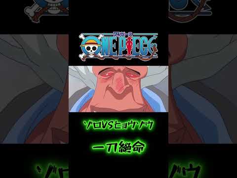 「ヒョウゾウ、ゾロの前に沈む...まさに実力の暴力」#ワンピース #onepiece #ワンピース面白いシーン #ワンピース感動シーン #ワンピース名言集 #ワンピース最新話