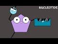RNA Structure and Function Concepts