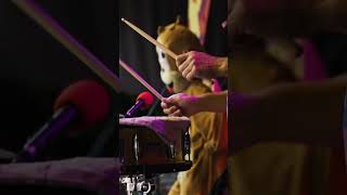 GaPa Live Kinderkonzert mit Rodscha und Tom