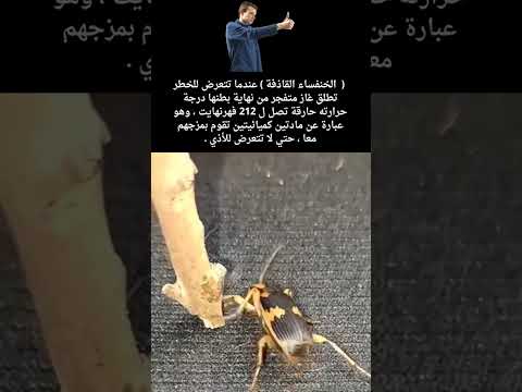 سبحان الله العظيم #لاتنسى_الاشتراك