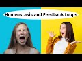 Homeostasis and Feedback Loops