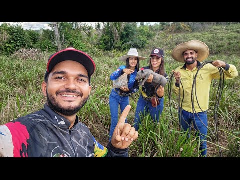 FOMOS NA @Fazenda3quedas PEGAR NOSSOS PORCOS DA BRABEZA NA CARREIRA, VOLTAMOS COM O CAIXOTE CHEIO