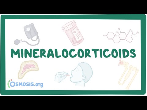 Mineralocorticoids and mineralocorticoid antagonists ~Pharmacology~