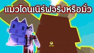 สูตรแมวทำผลใหญ่!! ใช้ได้เหมือนเดิมหรือว่าโดนเนิร์ฟ!! คลิปนี้มีคำตอบ | Roblox Grow a Garden