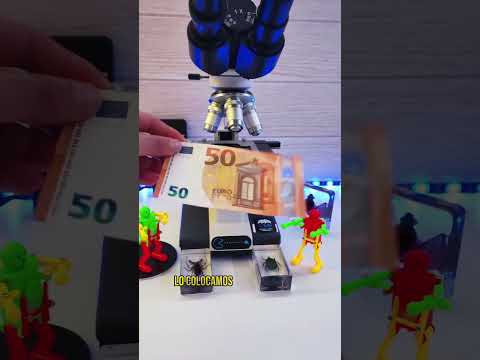 💶 50 Euros bajo el microscopio 🔬