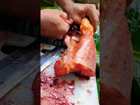കൂരിവാള ശരിയാക്ക്യാലോ ..#fish #nature