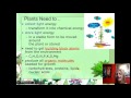 Photosynthesis and Plant Biology Concepts