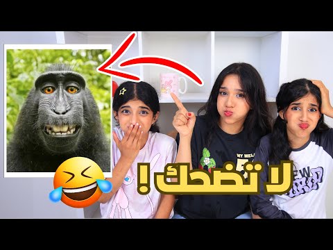 اتحداك ما تضحك بالفيديو هذا !! شفا