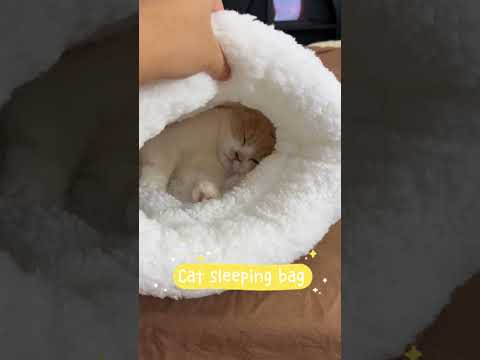 Cat sleeping bag, Link is on bio or copy:www.niopets.com