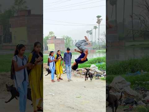 Dog Ko Flip Achha Laga Aap Loga Ko Flip🙏Achha Laga Hai To Ek Like Kar Do Please😱#funny