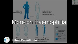 More on Haemophilia