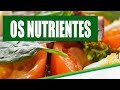 Nutrição e Funções dos Nutrientes