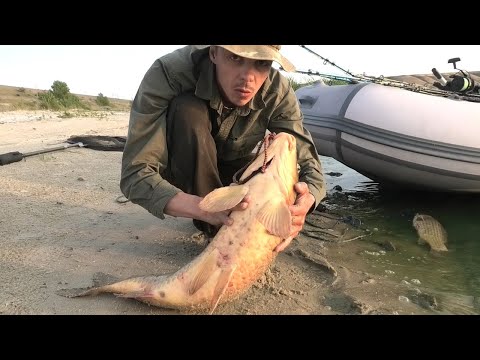 КРУПНЫЙ ДИКИЙ САЗАН ПРОСТО НА ЧЕРВЯ!!! ГНЁТ И ДАВИТ   РЫБАЛКА НА КРУПНОГО САЗАНА