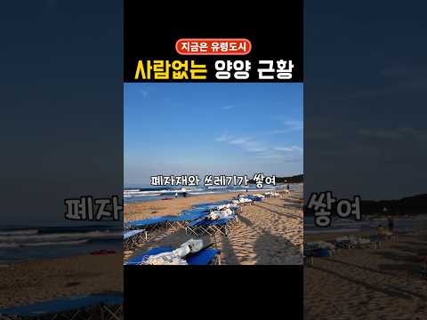 양양 해변이 망했다… 서핑 성지의 충격적 몰락