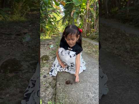 BUANG EE AYAM PAKE DAUN